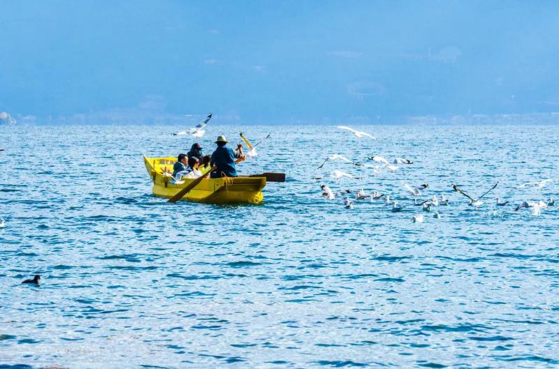7月泸沽湖现状,7月的泸沽湖天气