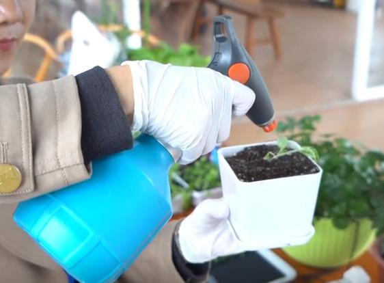 简易无土栽培蔬菜,自制无土栽培蔬菜神器