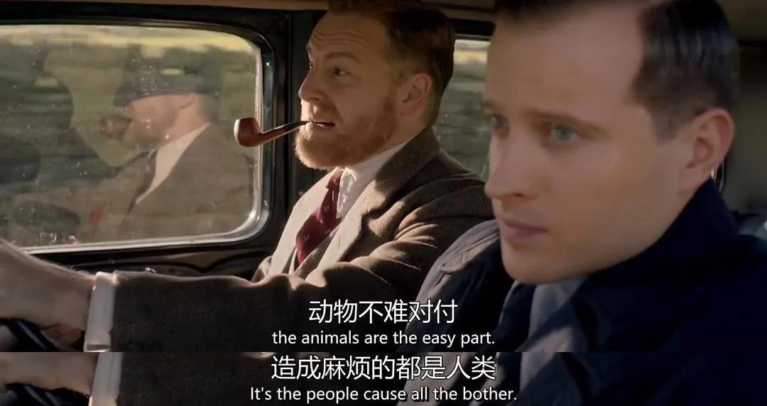 全世界的鸟,全世界的鸟类