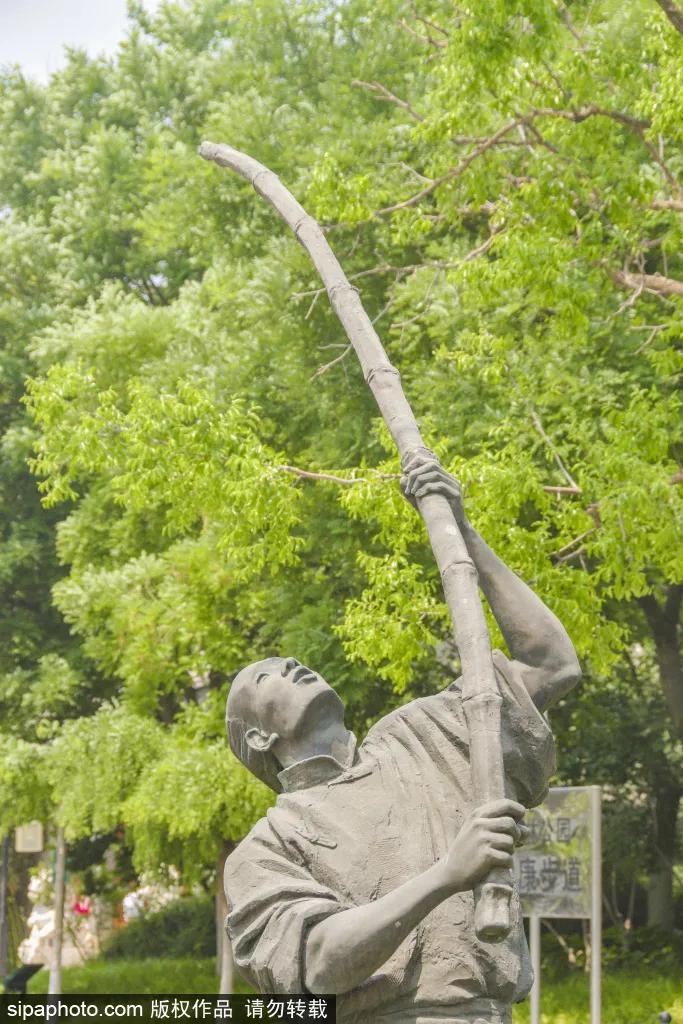 紫色花海免费版,紫色花海免费