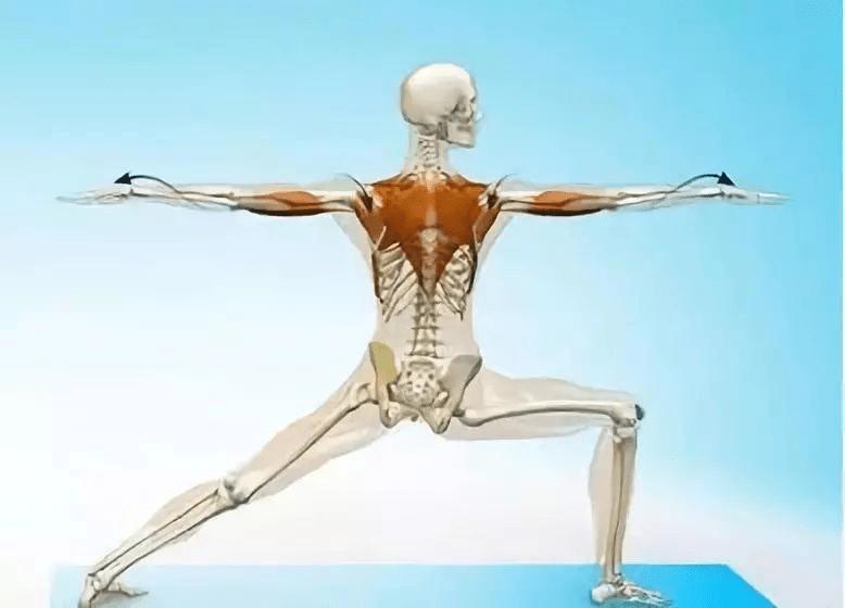 改变腿型不直的方法站立,双腿并拢站立的正确腿型