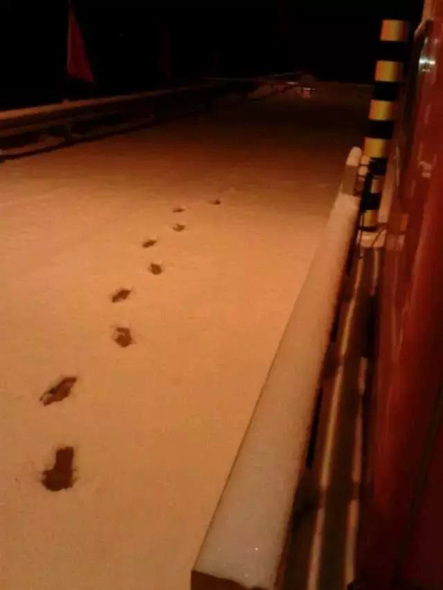 莫名的被一个20岁的小男孩表白,对自己小20的男孩告白