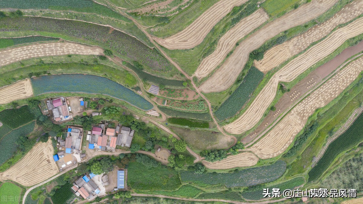 庄浪市场,甘肃省庄浪县经济咋样