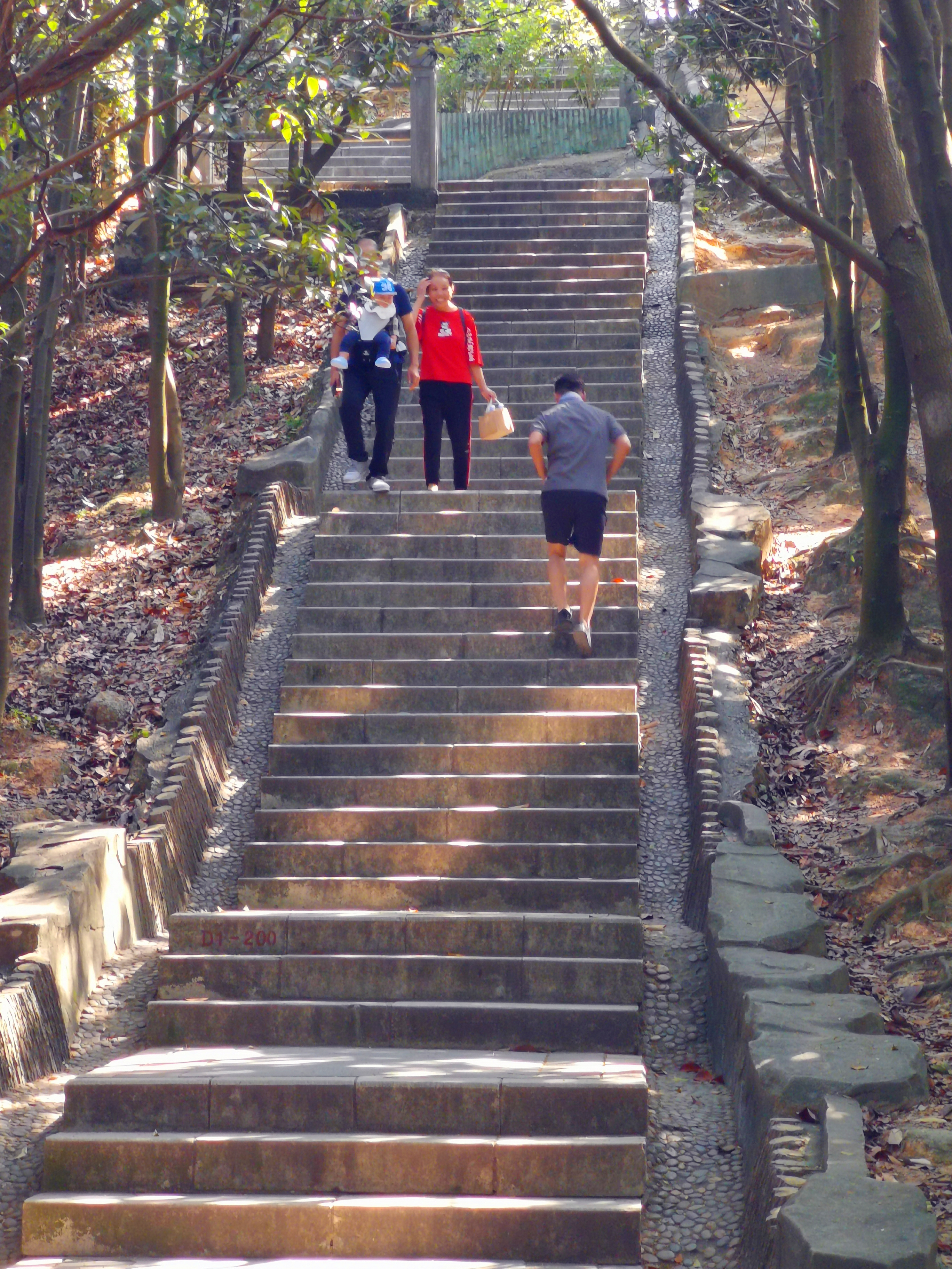 羊台山玻璃观景台在哪里,深圳羊台山最佳观景