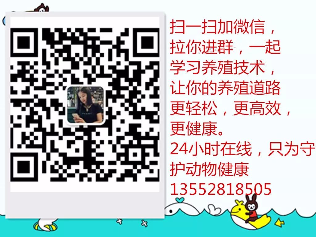 母羊下羔了，多给补补营养，多加点玉米吧？大错特错