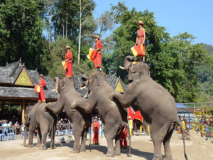 博悦旅游,云南西双版纳博悦