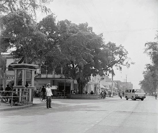 拾光汇影|第二期·珠海凤凰路