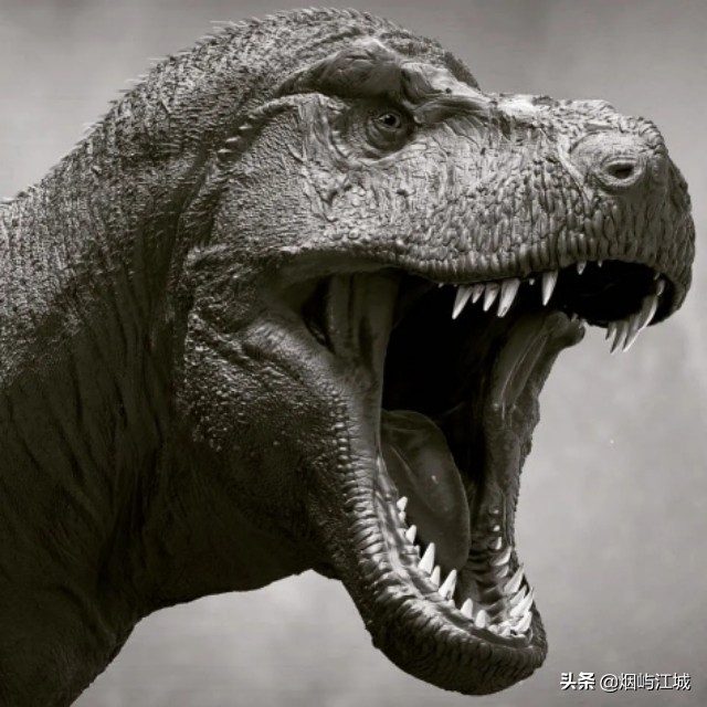 暴龙的形态,暴龙的不同形态