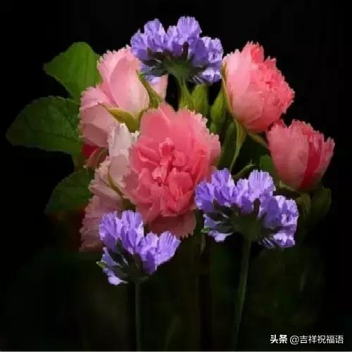 经典中的经典才是经典,经典永远堪称经典