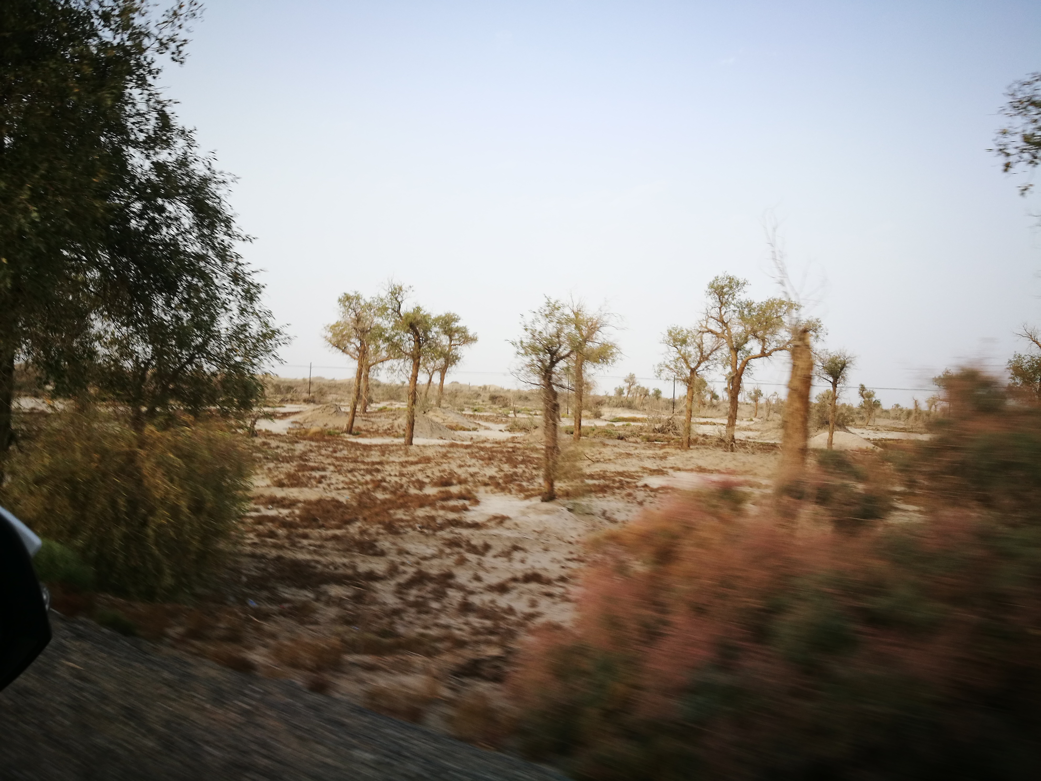 13000公里新手独驾*疆新**第23天——穿越塔克拉玛干沙漠，遭遇陷车