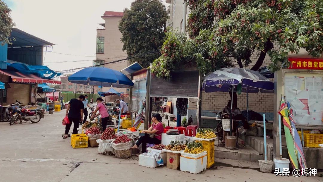星河湾贤江旧改都有多少平方,星河湾正式拿下长岭居贤江旧改