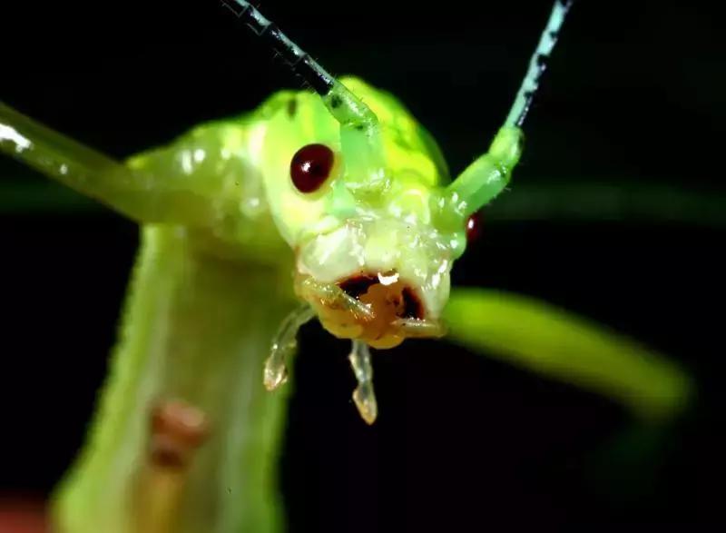 南京动物海洋馆,海洋动物主题公园