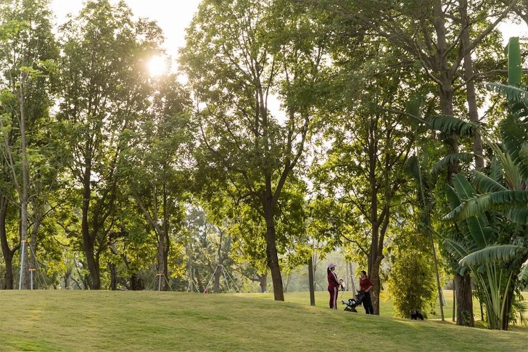 深圳11号线哪一站下车可以看海,坐深圳11号线去看海的地方