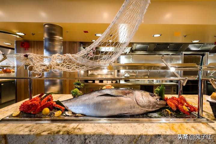 游轮旅行丨皇家加勒比海洋光谱号亲子游实录，期待绿洲系新船启航