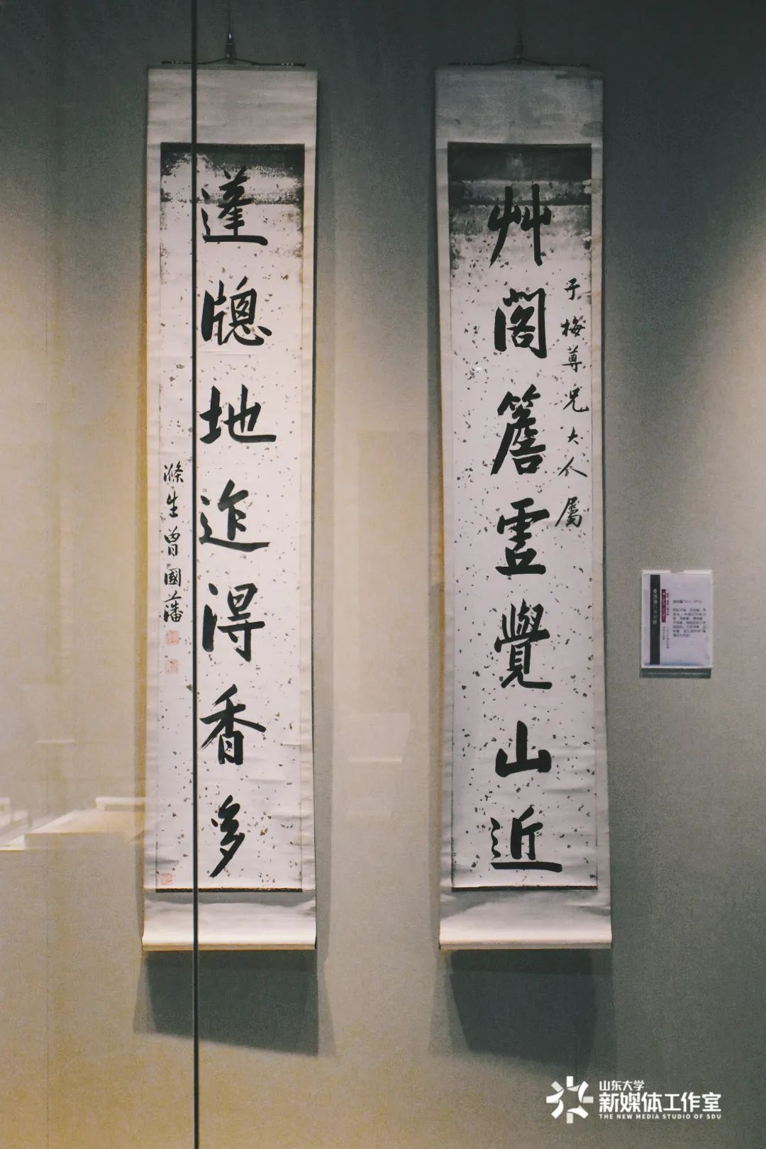 如果*物文**会说话？快来走进青岛校区博物馆