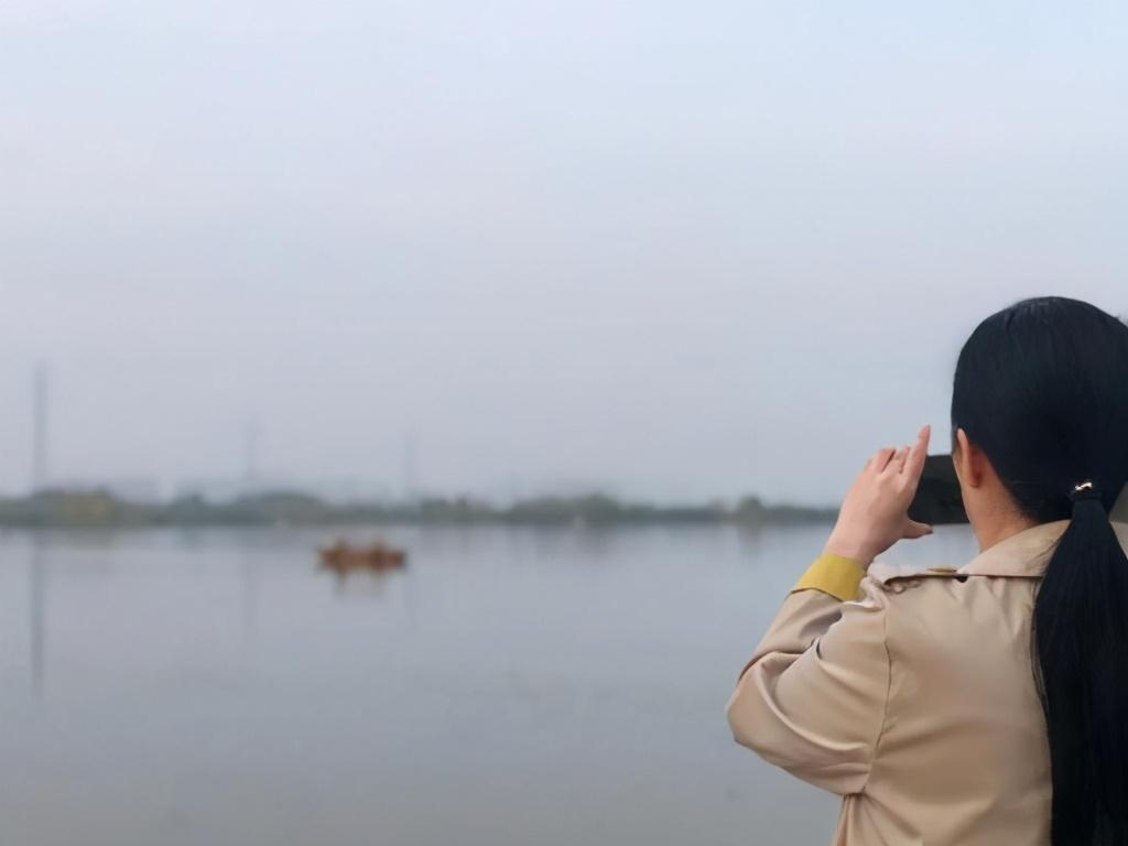 洛阳粉色花海,洛阳近郊惊现绝美花海