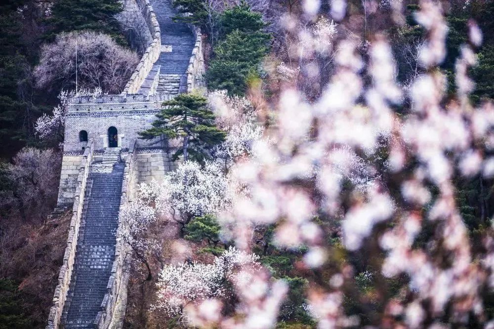 安全出行宝典,北京安全出游好去处