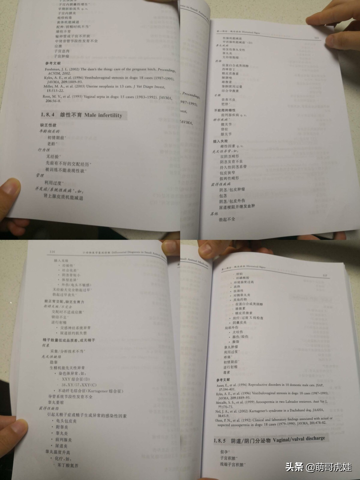 猫有没有不孕不育的,猫咪多大有生育能力公猫