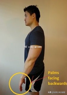 【体态矫正】耸肩、圆肩体态的矫正训练方法