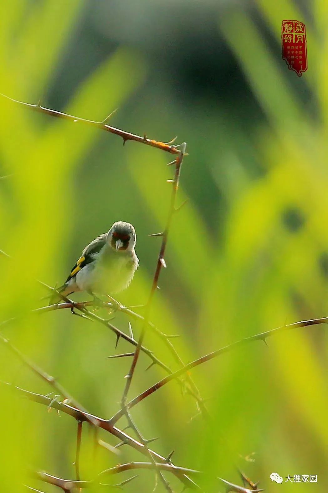 带娃的日子有滋有味,为什么别人的日子过得有滋有味儿