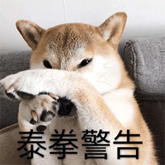 孩子在学校里打架还撒谎,孩子在幼儿园打架老师装作不知道