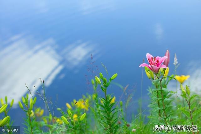 带有水字的诗词句,有水字打头的诗句