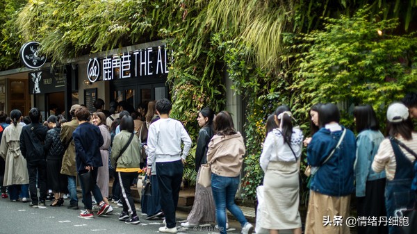 皇家加勒比邮轮量子号新加坡出发,皇家加勒比海洋量子号邮轮之旅