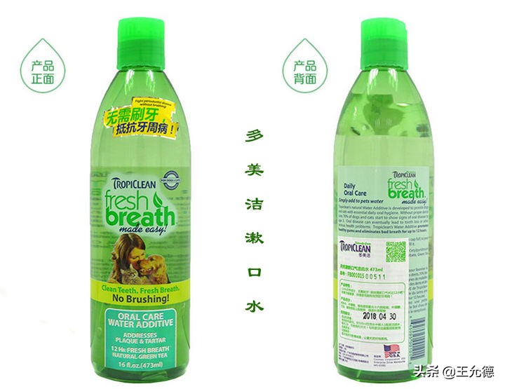 狗子口腔有问题会有什么反应,狗得口腔溃疡会有什么症状