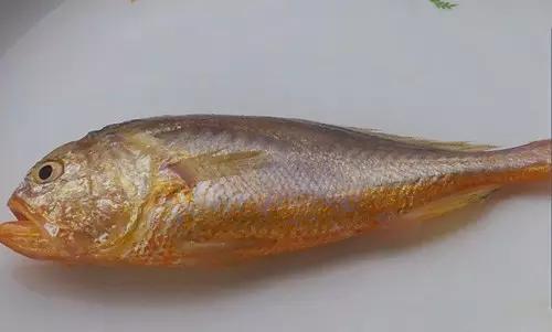 吃过最贵的海鲜是什么,吃过最奢侈的菜