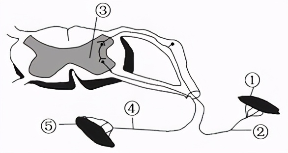 临沂2022生物会考答案,罗庄区生物一模试卷