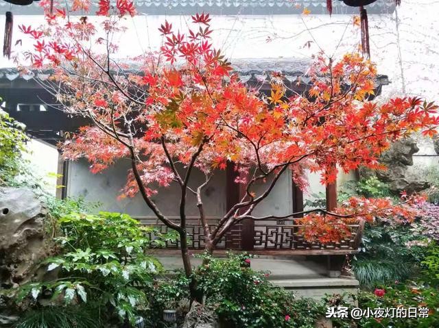 清朝富商胡雪岩故居,清末富商胡雪岩故居