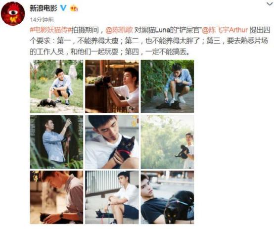 妖猫传为什么那么多人喜欢杨贵妃,妖猫传有第二部吗