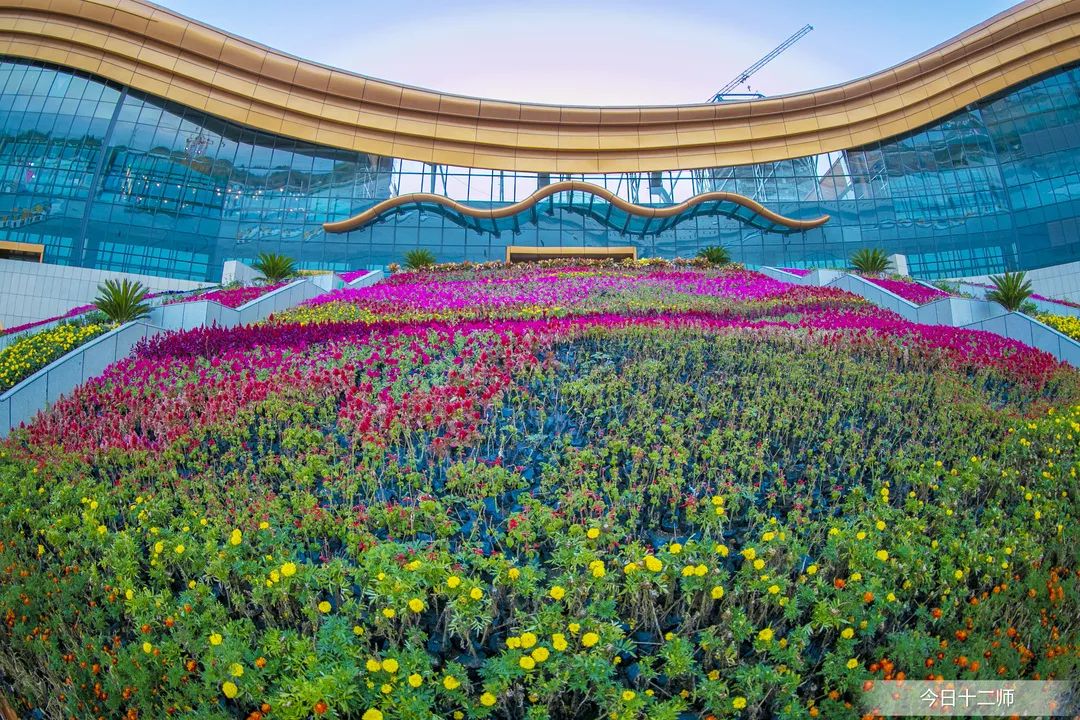 金蝴蝶开业,金蝴蝶开业时间