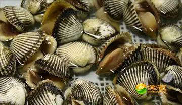 舟山海鲜攻略2天1晚住宿自由行,舟山最好的海鲜