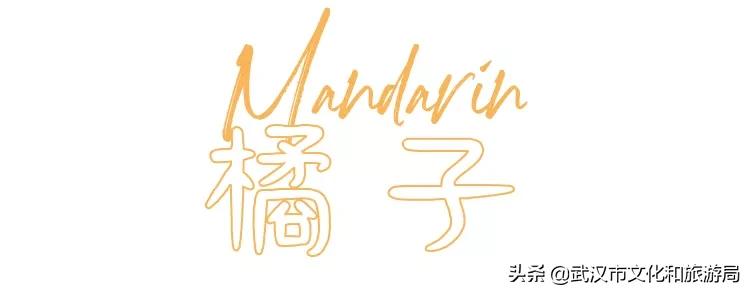 板栗葡萄采摘园,板栗桠葡萄采摘园