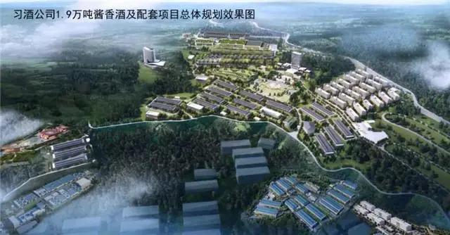 习酒今年破两百亿,习酒脱离茅台集团出的新品