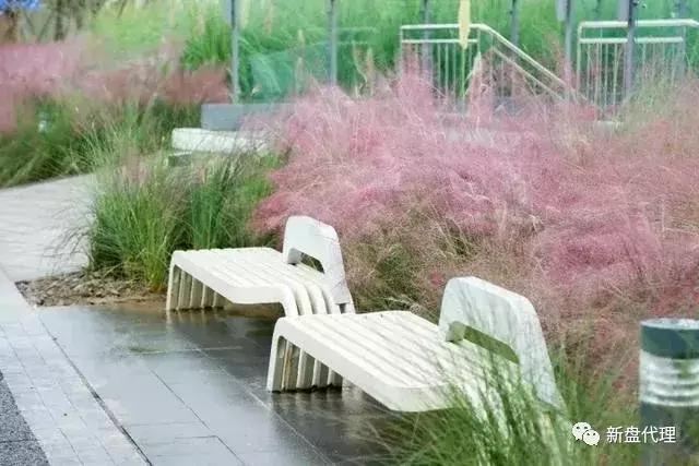 天府新区会成为下一个深圳吗,天府新区是成都的未来的市中心吗