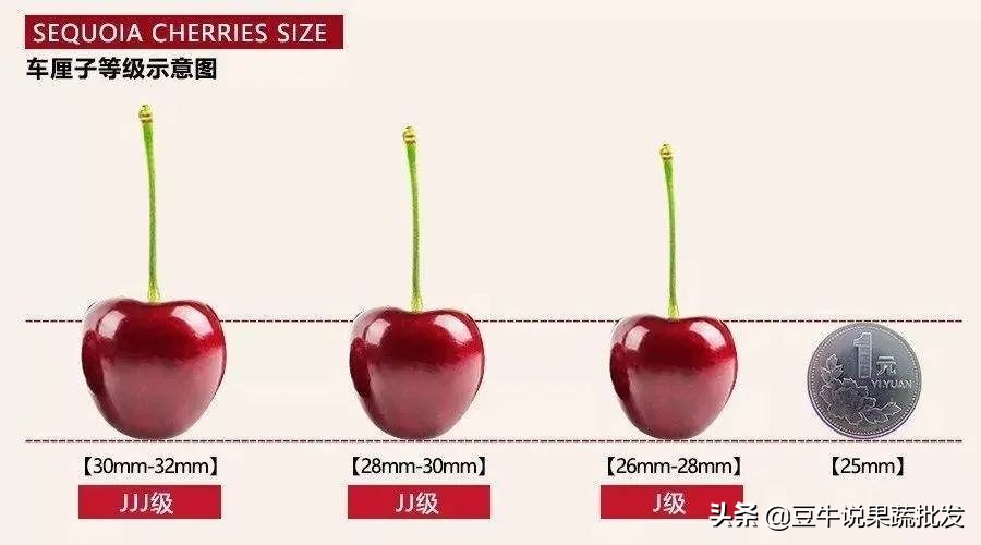 做果蔬批发要注意什么,果蔬批发好做还是零售好做