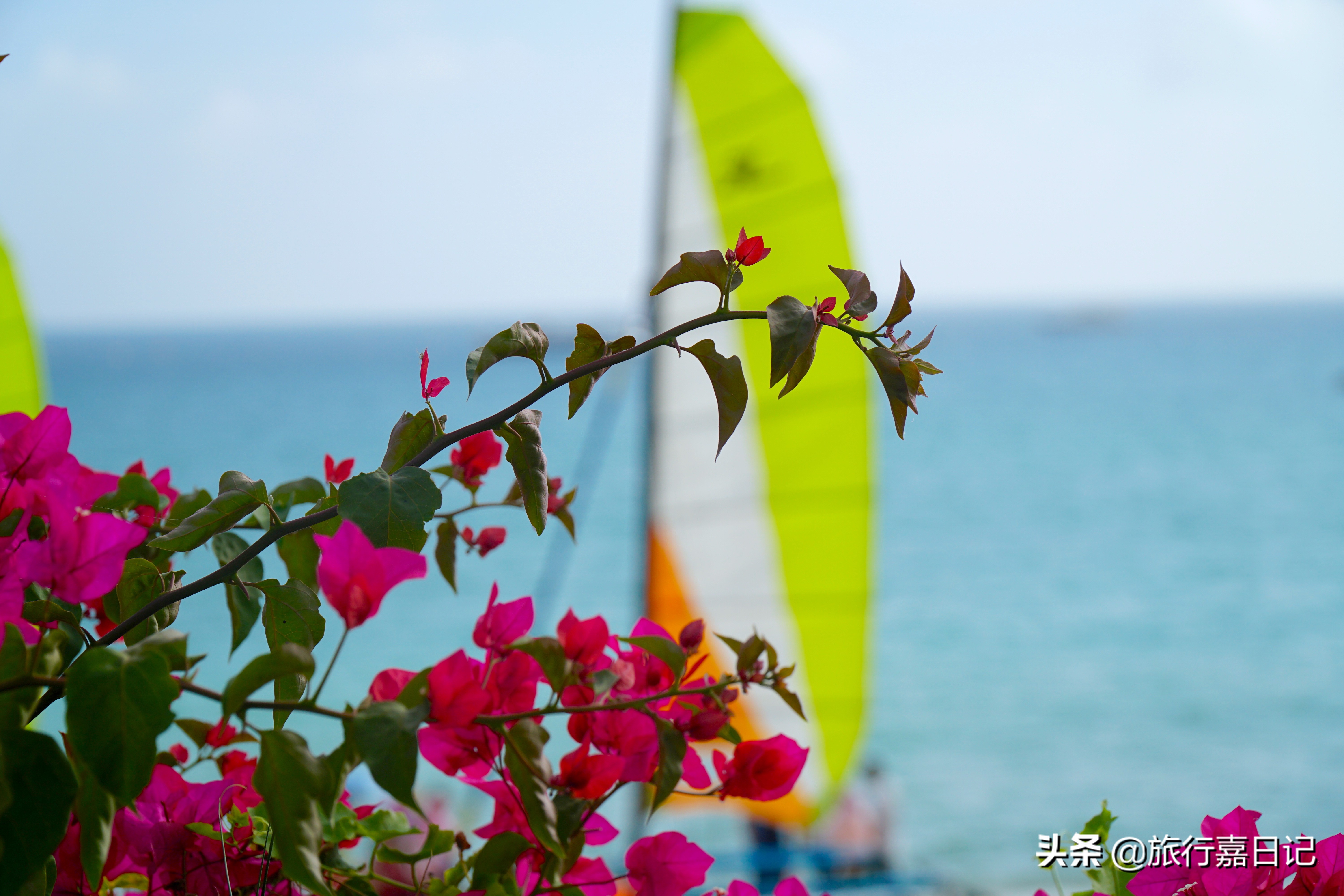 三亚旅游真实体验,去海南三亚玩怎么玩才不会被坑