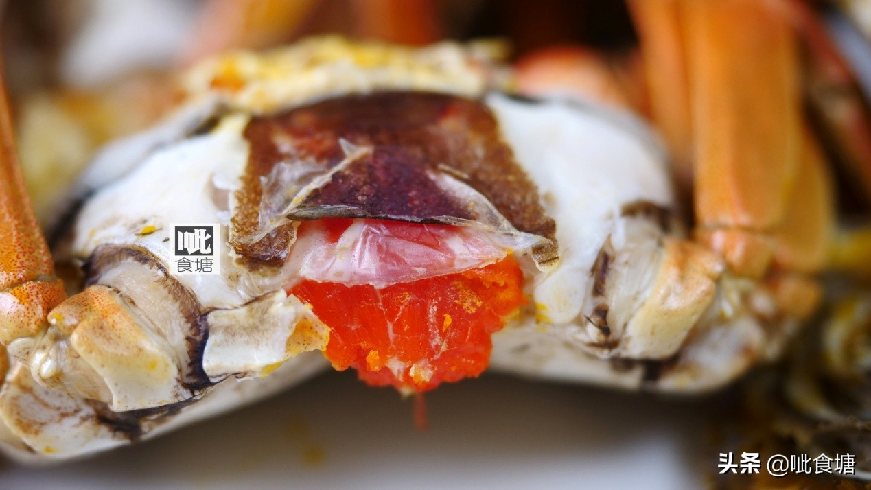 秋天肥美的大闸蟹,大闸蟹哪个季节最好吃最肥美