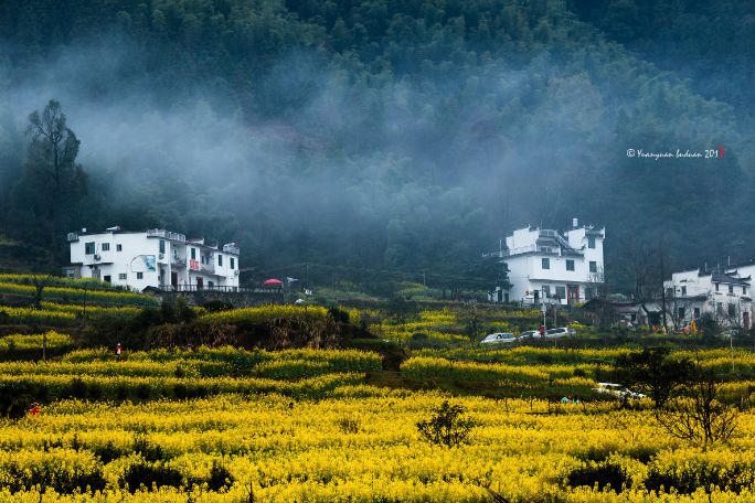 疫情防控取得阶段性胜利有序恢复,疫情胜利在望