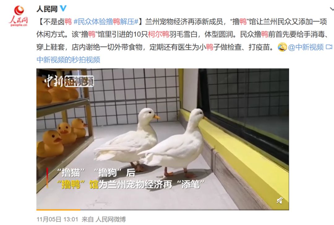 那些年舍友养过的奇葩宠物,你们身边的人都养什么奇怪的宠物