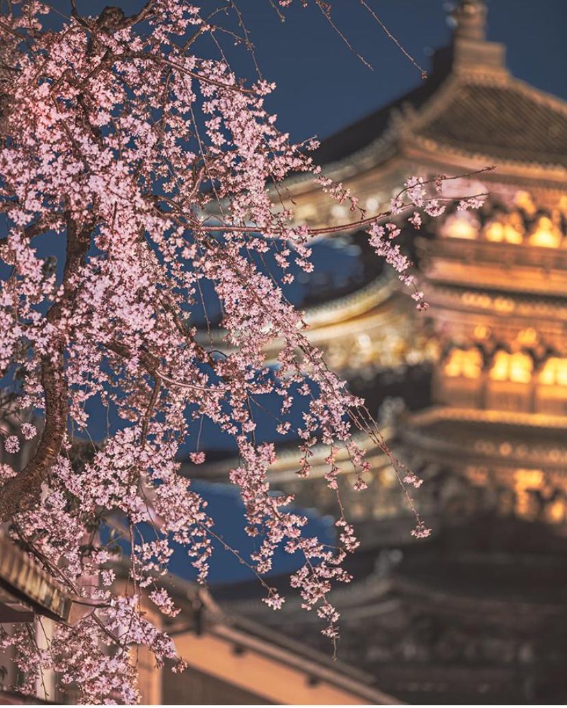 是心动啊，樱樱樱樱樱樱樱樱樱