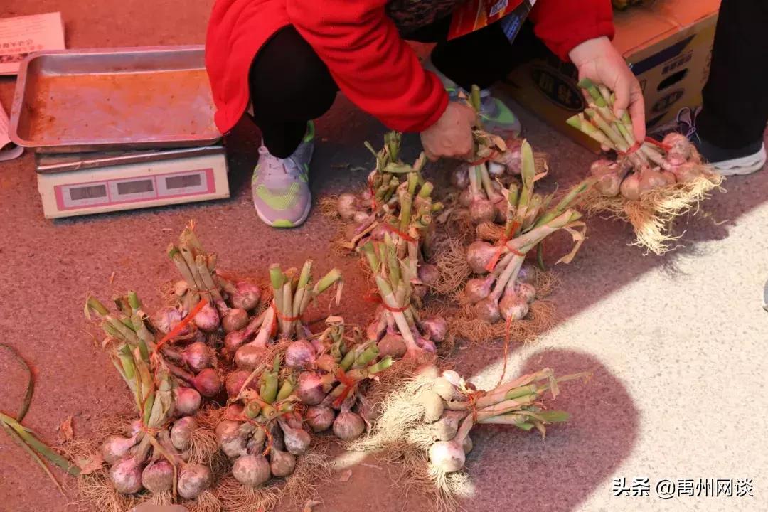 禹州人要和褚河镇说再见了！褚河镇！这些刚拍的照片！