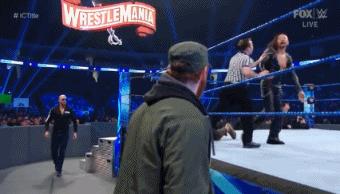 wwesd和raw所有选手,wwesd冠军腰带