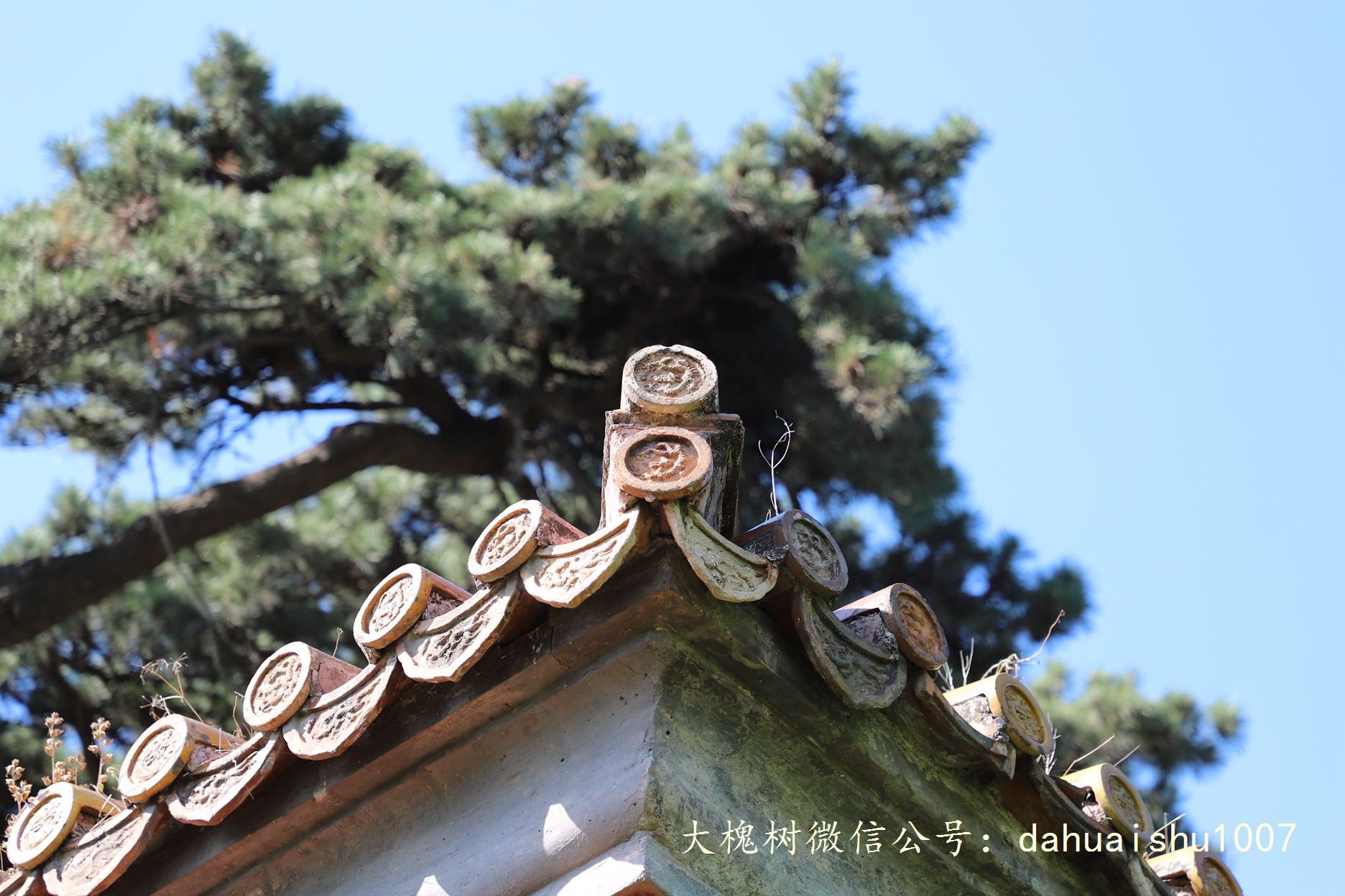 嘉靖陵墓永陵和永乐大典,明朝十三陵之永陵