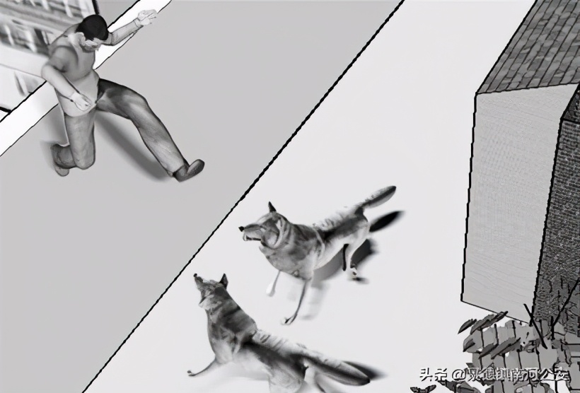 小偷入室盗窃被打死屋主有责任吗,入室抢劫被狗咬死狗主人有责任吗