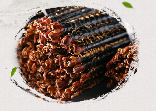 中药蜈蚣的功效和主治是什么,蜈蚣可以息风镇痉吗