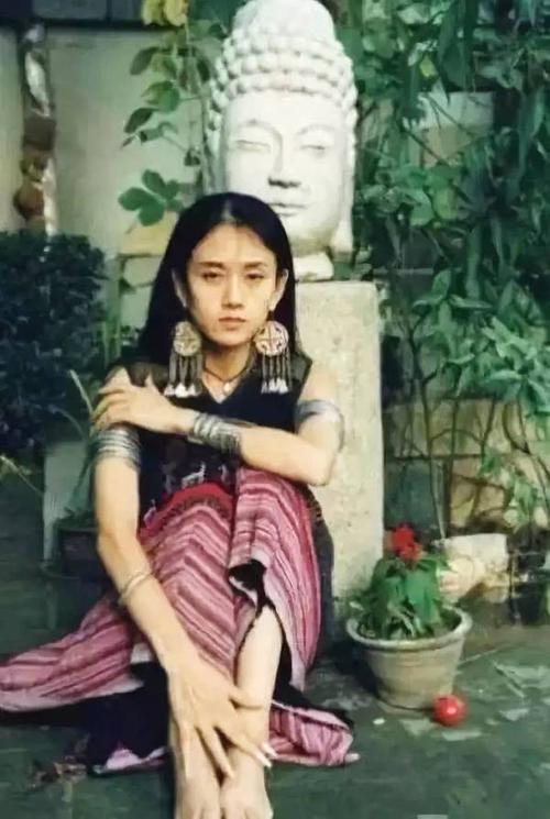 杨丽萍太阳宫被查封,杨丽萍太阳宫查封了吗