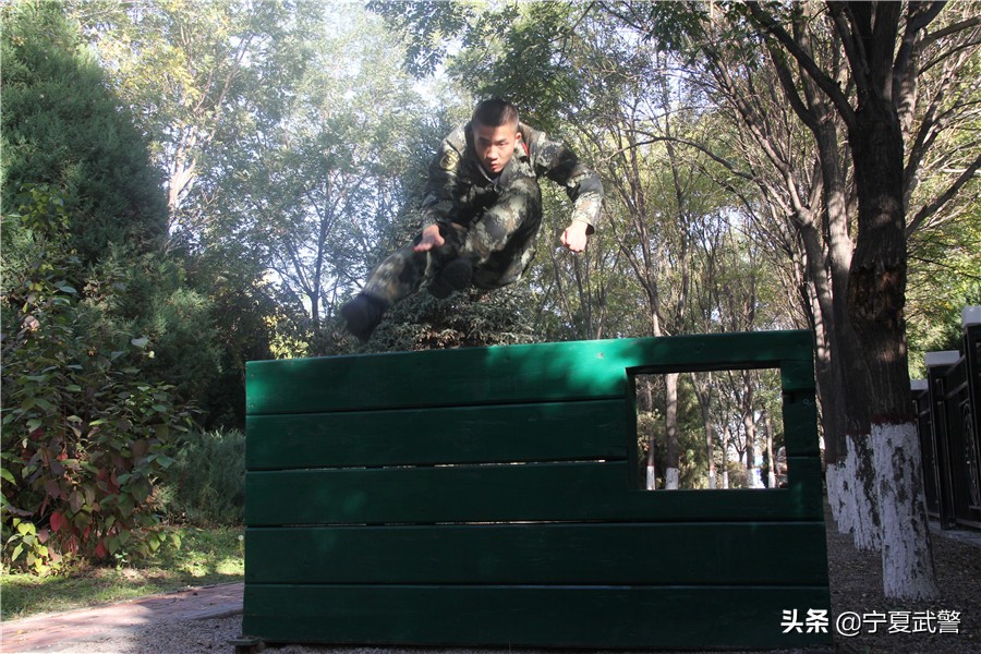 训练高手的武功,训练高手攻略